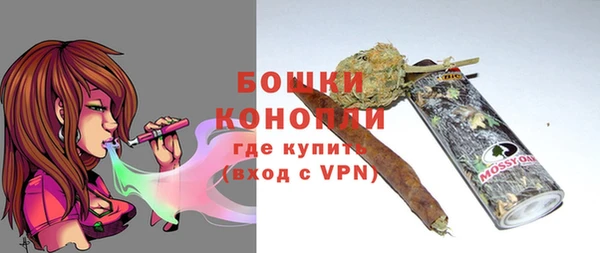 ПСИЛОЦИБИНОВЫЕ ГРИБЫ Арсеньев