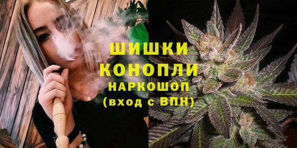 гидра Аркадак