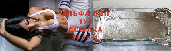 гидра Аркадак