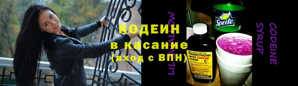 ПСИЛОЦИБИНОВЫЕ ГРИБЫ Арсеньев