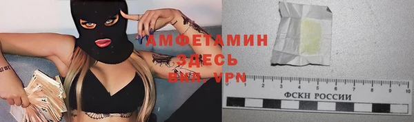 ПСИЛОЦИБИНОВЫЕ ГРИБЫ Арсеньев