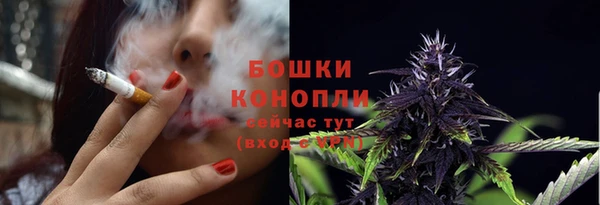 ПСИЛОЦИБИНОВЫЕ ГРИБЫ Арсеньев
