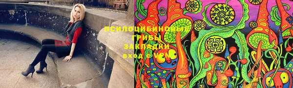 дживик Армянск