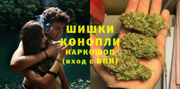 гидра Аркадак