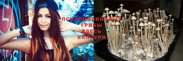 дживик Армянск
