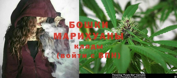 гидра Аркадак