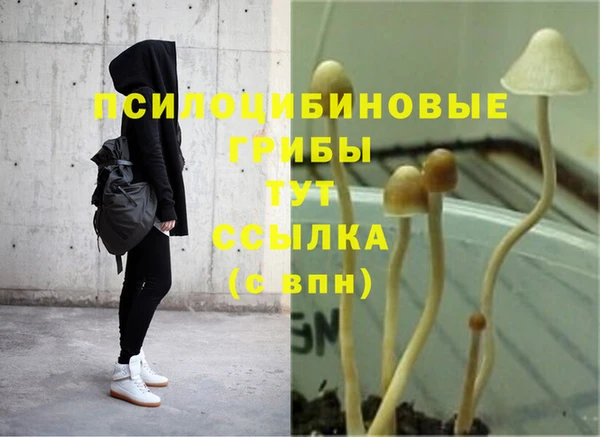 дживик Армянск